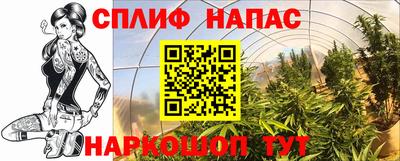 каннабис Кингисепп