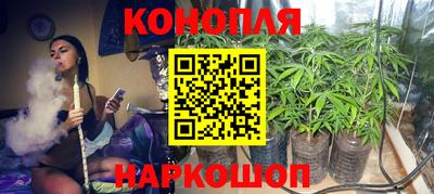 каннабис Кингисепп
