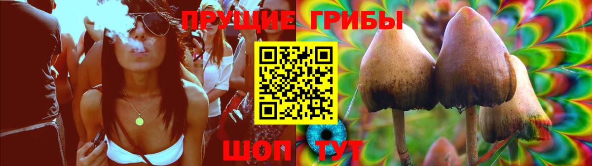 Комсомольск-на-Амуре  Галлюциногенные грибы мицелий  Вход с VPN 